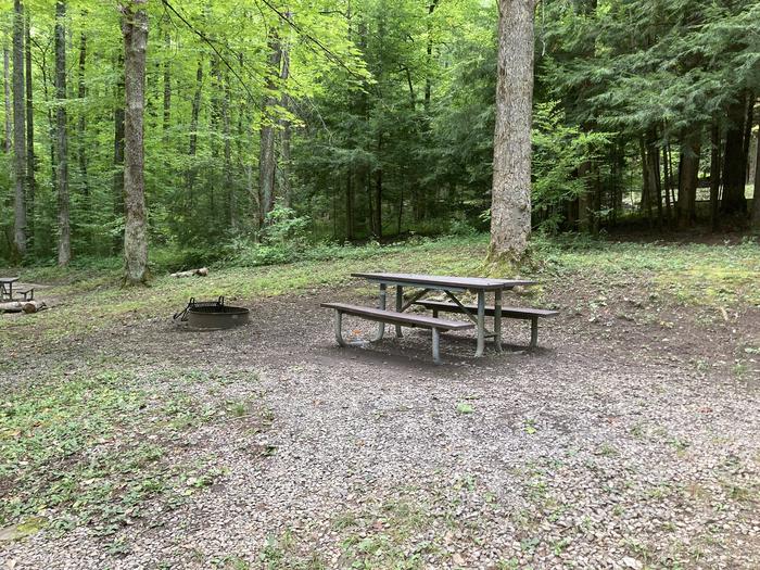 A photo of Site A32 of Loop A-Loop at COSBY CAMPGROUND with Picnic Table, Fire Pit