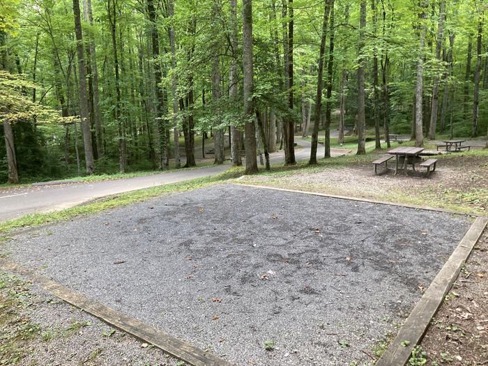 A photo of Site A32 of Loop A-Loop at COSBY CAMPGROUND with Picnic Table, Tent PadView from behind tent pad