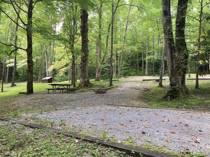 A photo of Site A55 of Loop A-Loop at COSBY CAMPGROUND with Picnic Table, Fire Pit, Tent PadView from behind the tent pad