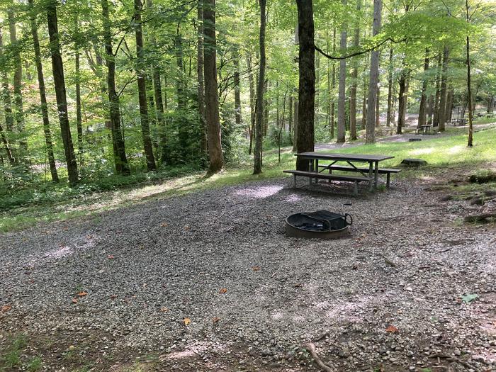 A photo of Site A55 of Loop A-Loop at COSBY CAMPGROUND with Picnic Table, Fire PitPicnic area