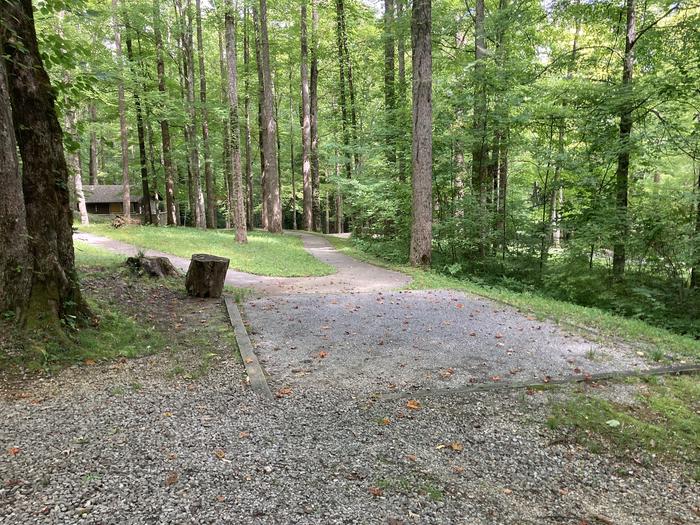 A photo of Site A55 of Loop A-Loop at COSBY CAMPGROUND with Tent PadTent pad