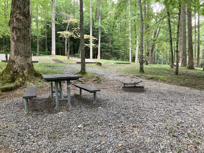A photo of Site A55 of Loop A-Loop at COSBY CAMPGROUND with Picnic Table, Fire Pit close upPicnic area close up