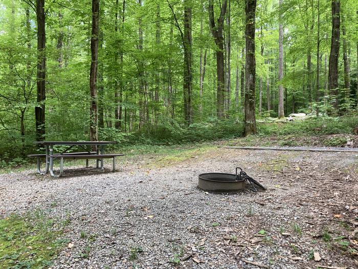 A photo of Site A38 of Loop A-Loop at COSBY CAMPGROUND with Picnic Table, Fire PitPicnic area 