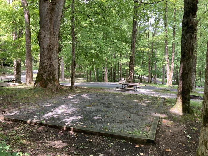 A photo of Site A43 of Loop A-Loop at COSBY CAMPGROUND with Picnic Table, Fire Pit, Tent Pad behindView from behind the tent pad. Has good hammock trees