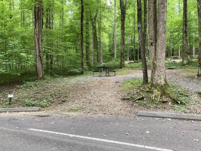 A photo of Site A38 of Loop A-Loop at COSBY CAMPGROUND Street view 
