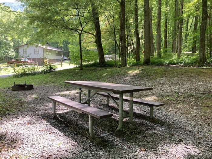 A photo of Site A43 of Loop A-Loop at COSBY CAMPGROUND with Picnic Table, Fire Pit close upPicnic area