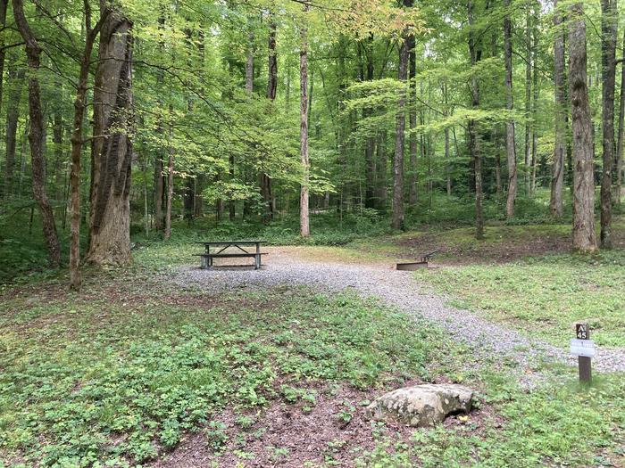 A photo of Site A45 of Loop A-Loop at COSBY CAMPGROUND with Picnic Table, Fire Pit, Tent Pad from roadA45 from the road