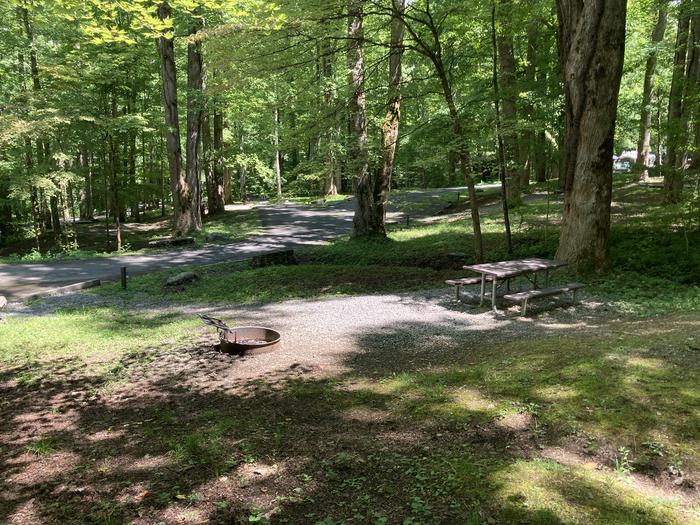 A photo of Site A45 of Loop A-Loop at COSBY CAMPGROUND with Picnic Table, Fire Pit overview Picnic area. A45 is close to the bathrooms 