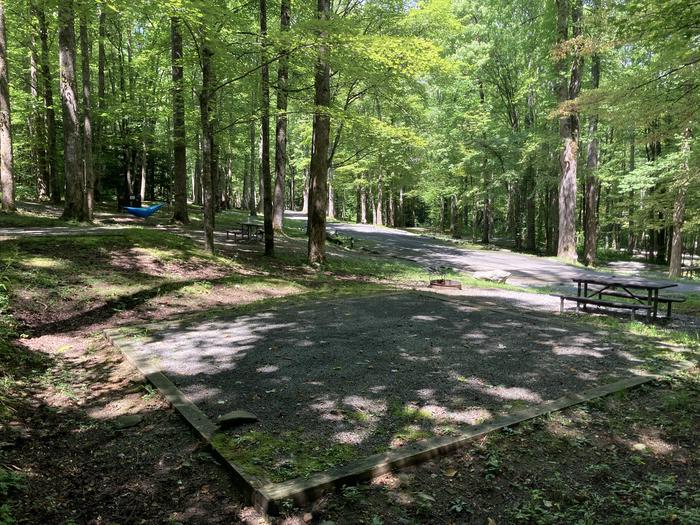 A photo of Site A45 of Loop A-Loop at COSBY CAMPGROUND with Picnic Table, Fire Pit, Tent Pad behind View from behind the tent pad, the tent pad is somewhat close to tent pad at A47, which on a small hill is raised above A45. Good for families camping together