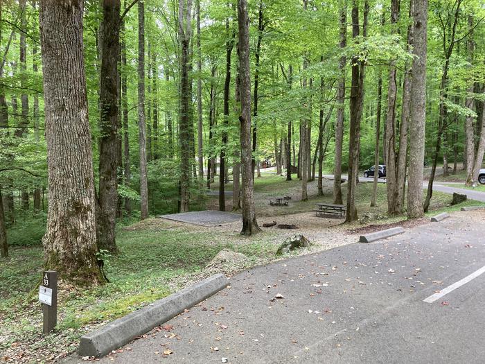 A photo of Site A33 of Loop A-Loop at COSBY CAMPGROUND with Picnic Table, Fire Pit, Tent PadStreet view 