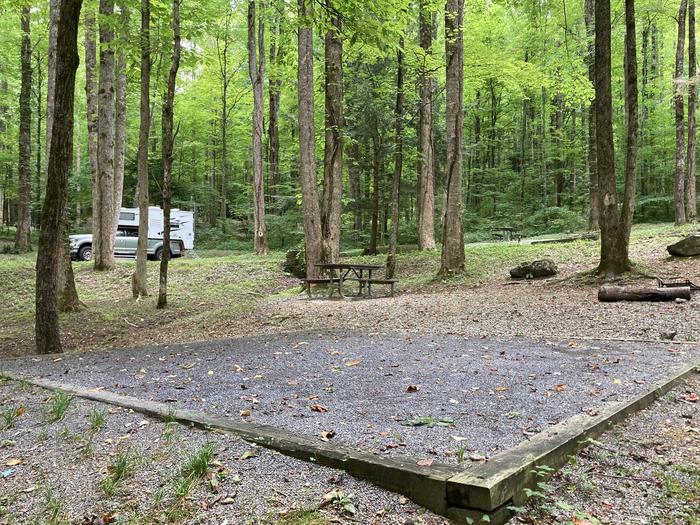 A photo of Site A33 of Loop A-Loop at COSBY CAMPGROUND with Tent PadTent pad