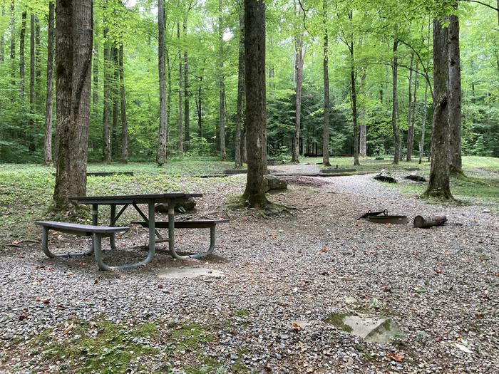 A photo of Site A33 of Loop A-Loop at COSBY CAMPGROUND with Picnic Table, Fire PitPicnic arena 