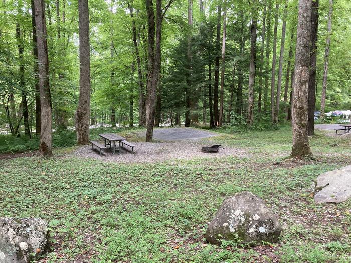 A photo of Site A40 of Loop A-Loop at COSBY CAMPGROUND with Picnic Table, Fire Pit, Tent PadStreet view 