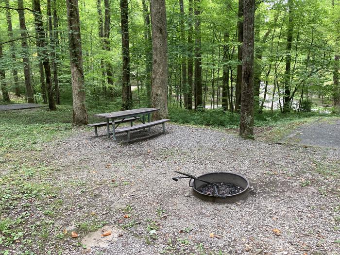 A photo of Site A40 of Loop A-Loop at COSBY CAMPGROUND with Picnic Table, Fire PitPicnic area 