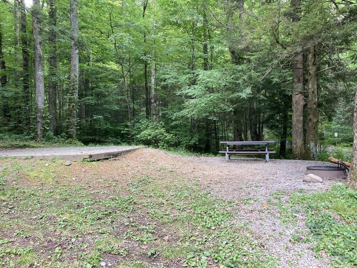 A photo of Site A64 of Loop A-Loop at COSBY CAMPGROUND with Picnic Table, Fire Pit, Tent PadA64