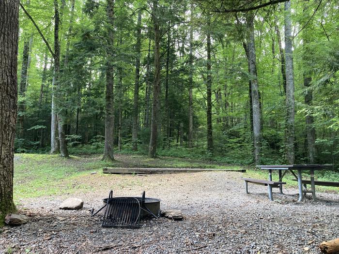 A photo of Site A64 of Loop A-Loop at COSBY CAMPGROUND with Picnic Table, Fire Pit, Tent PadView from behind the fire pit