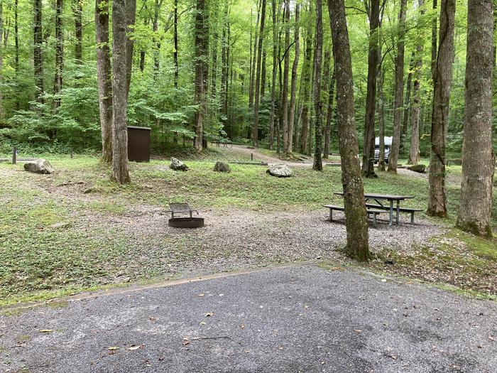A photo of Site A40 of Loop A-Loop at COSBY CAMPGROUND with Picnic Table, Fire PitView from behind tent pad