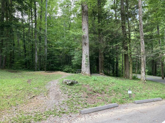 A photo of Site A64 of Loop A-Loop at COSBY CAMPGROUND from roadStreet view 