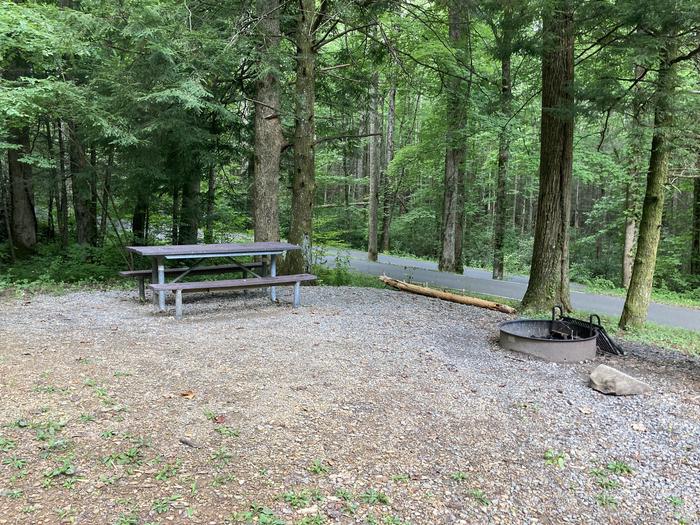 A photo of Site A64 of Loop A-Loop at COSBY CAMPGROUND with Picnic Table, Fire PitPicnic area