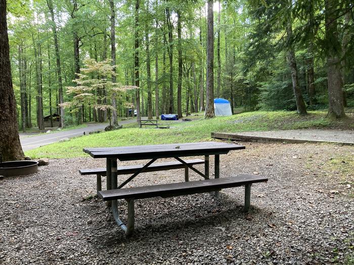 A photo of Site A64 of Loop A-Loop at COSBY CAMPGROUND with Picnic Table, Fire Pit, Tent Pad behind table View from behind the picnic table