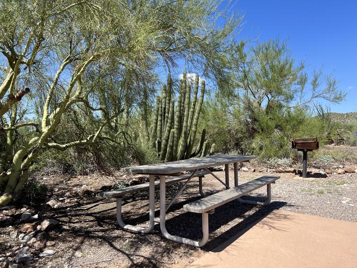 A picnic table and grill in the shade at TWIN PEAKS CAMPGROUND