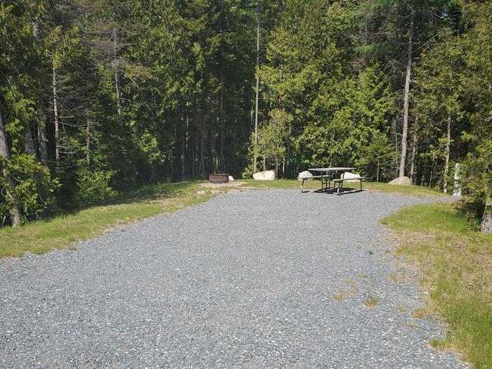 Site 07 with RV view from streetA photo of Site A07 of Loop A-Loop at Schoodic Woods Campground with Picnic Table, Electricity Hookup, Fire Pit