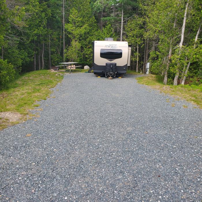 A photo of Site A07 While OccupiedA photo of Site A07 of Loop A-Loop at Schoodic Woods Campground with Picnic Table, Electricity Hookup, Fire Pit