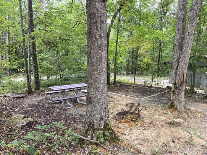 A photo of Loop A at Look Rock Campground with Picnic Table, Fire Pit, Tent Pad