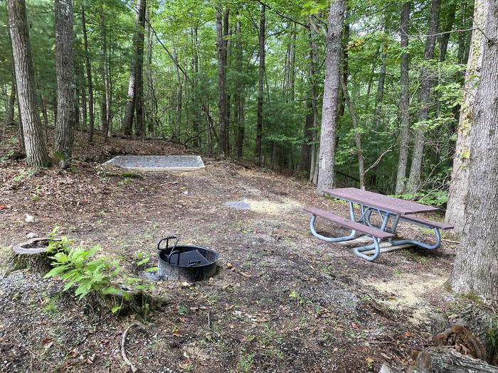 A photo of Site 11 of Loop A at Look Rock Campground with Picnic Table, Fire Pit, Tent Pad