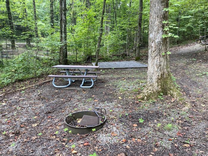 A photo of Site 66 of Loop A at Look Rock Campground with Picnic Table, Fire Pit, Tent Pad