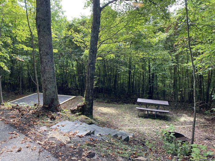 A photo of Site 12 of Loop A at Look Rock Campground with Picnic Table, Fire Pit, Tent Pad