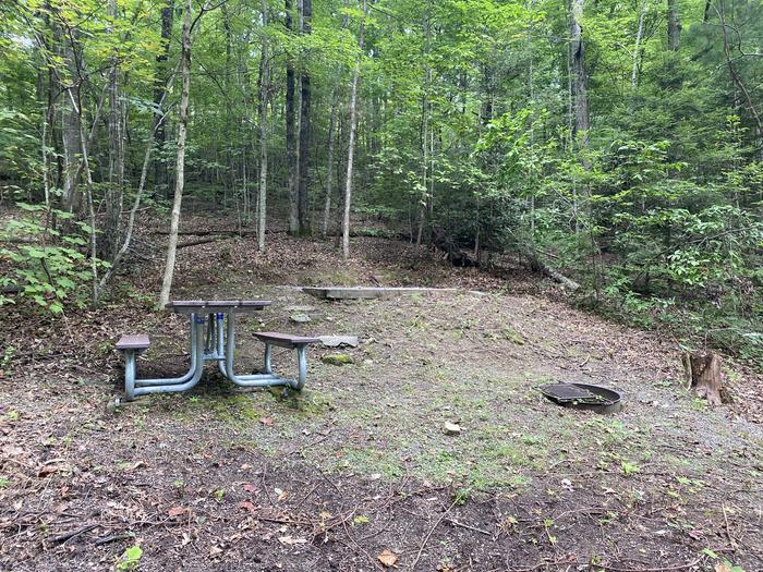 A photo of Site 63 of Loop A at Look Rock Campground with Picnic Table, Fire Pit, Tent Pad