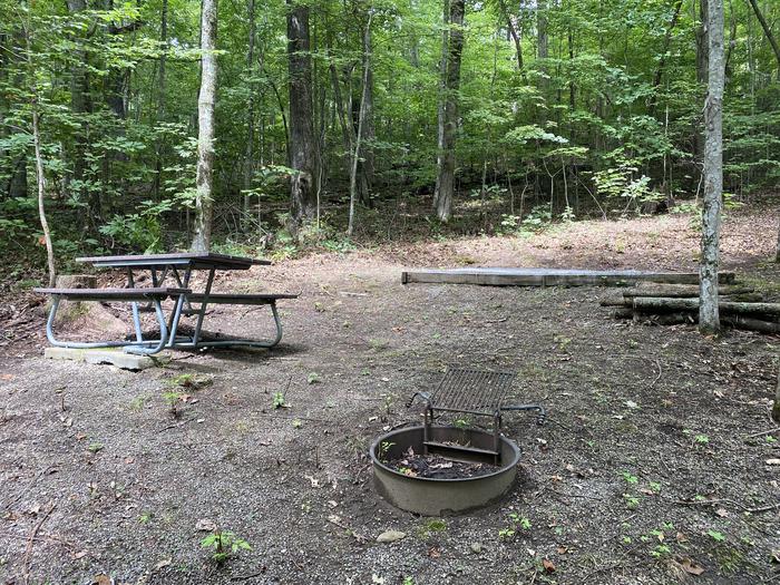 A photo of Site 64 of Loop A at Look Rock Campground with Picnic Table, Fire Pit, Tent Pad