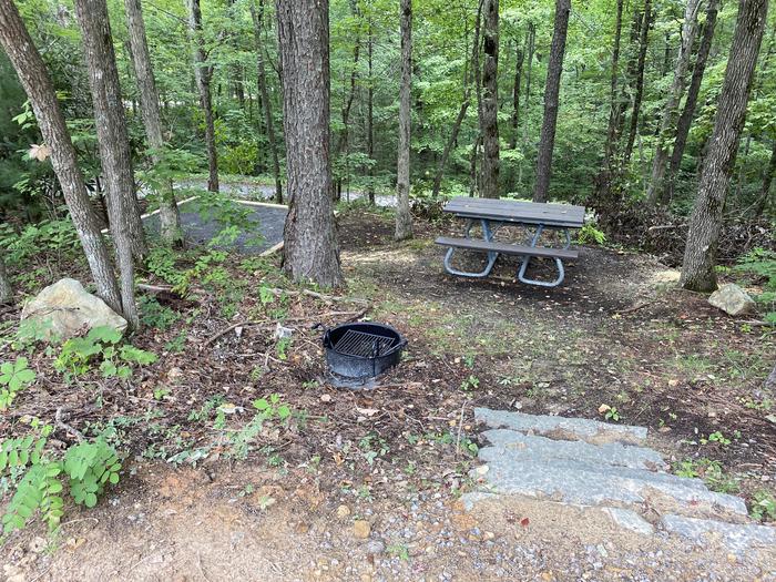 A photo of Site 3 of Loop A at Look Rock Campground with Picnic Table, Fire Pit, Tent Pad