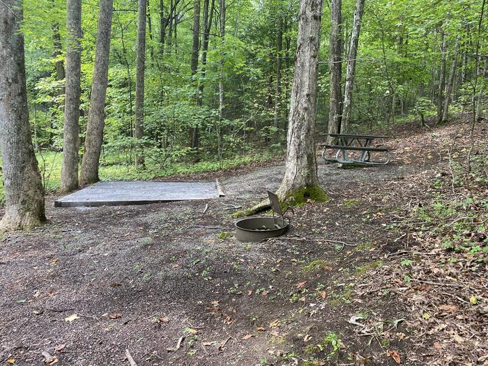 A photo of Site 65 of Loop A at Look Rock Campground with Picnic Table, Fire Pit, Tent Pad