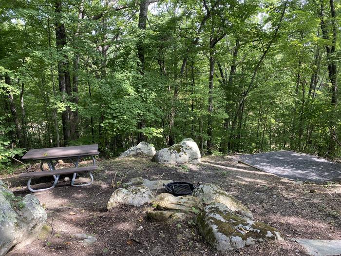 A photo of Site 22 of Loop A at Look Rock Campground with Picnic Table, Fire Pit, Tent Pad