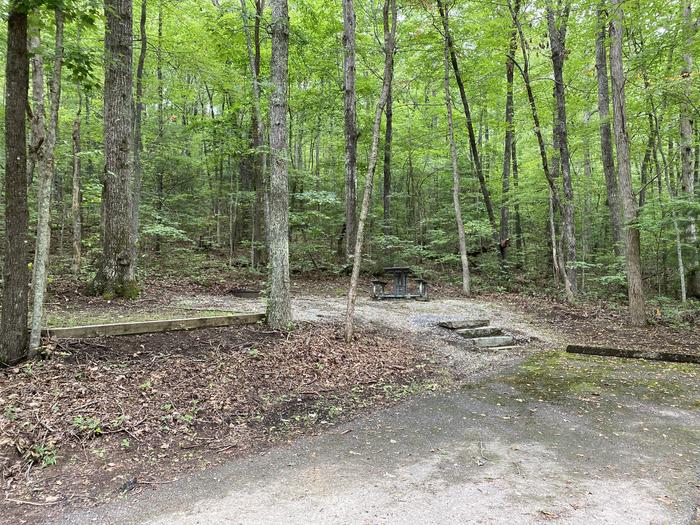 A photo of Site 45 of Loop A at Look Rock Campground with Picnic Table, Fire Pit, Tent Pad