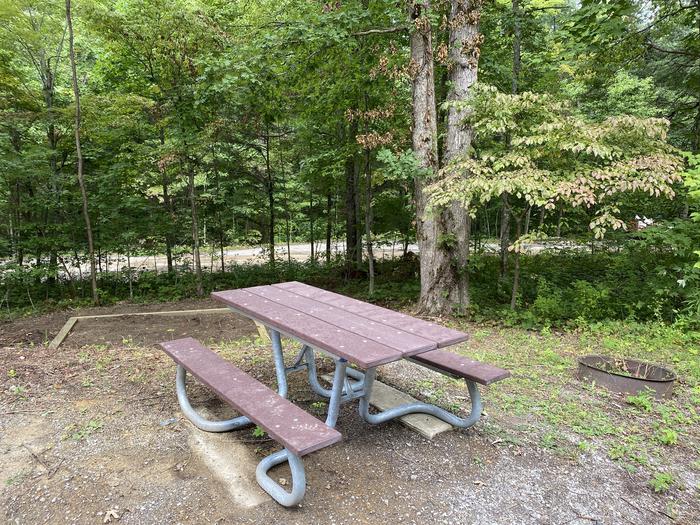 A photo of Site 28 of Loop A at Look Rock Campground with Picnic Table, Fire Pit, Tent Pad