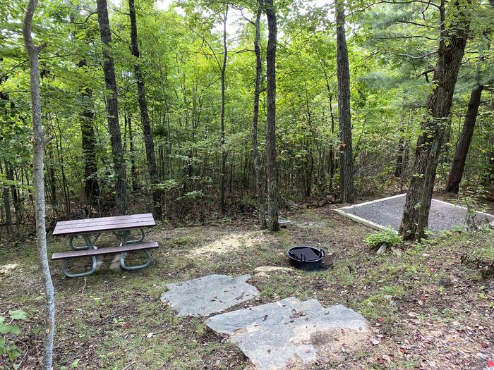 A photo of Site 10 of Loop A at Look Rock Campground with Picnic Table, Fire Pit, Tent Pad