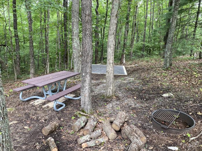 A photo of Site 7 of Loop A at Look Rock Campground with Picnic Table, Fire Pit, Tent Pad