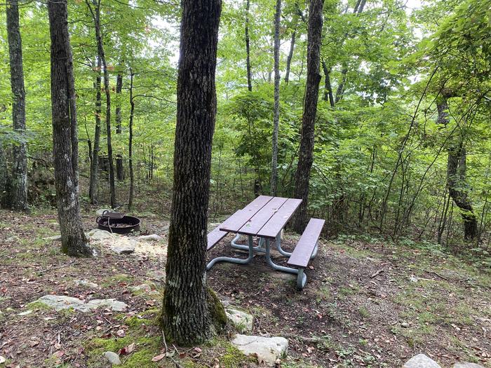 A photo of Site 6 of Loop A at Look Rock Campground with Picnic Table, Fire Pit, Tent PaA photo of Site 6 of Loop A at Look Rock Campground with Picnic Table, Fire Pit, Tent Pad