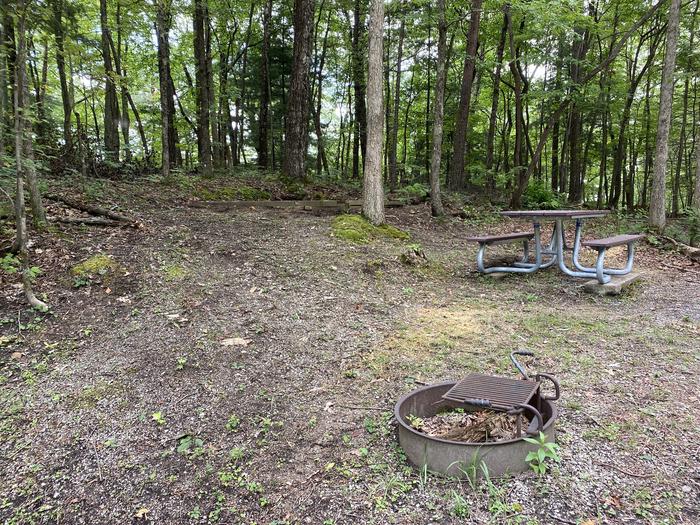 A photo of Site 31 of Loop A at Look Rock Campground with Picnic Table, Fire Pit, Tent Pad