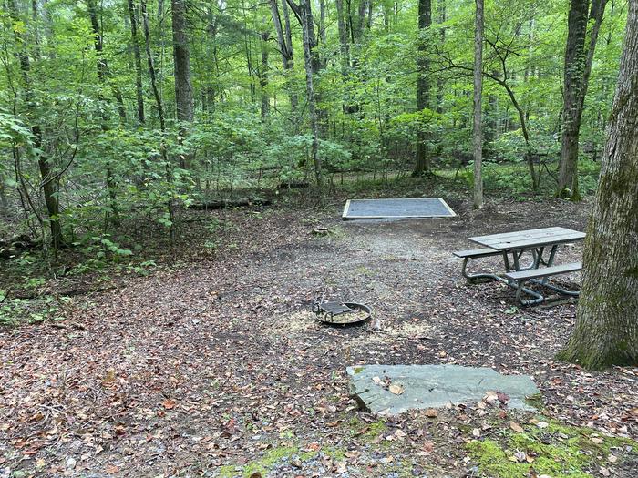 A photo of Site 54 of Loop A at Look Rock Campground with Picnic Table, Fire Pit, Tent Pad