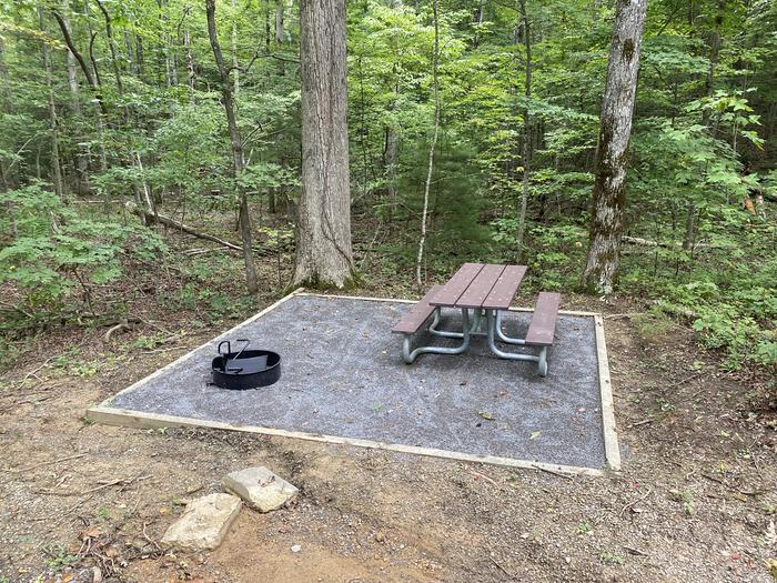A photo of Site 38 of Loop A at Look Rock Campground with Picnic Table, Electricity Hookup, Fire Pit, Tent Pad, Water Hookup