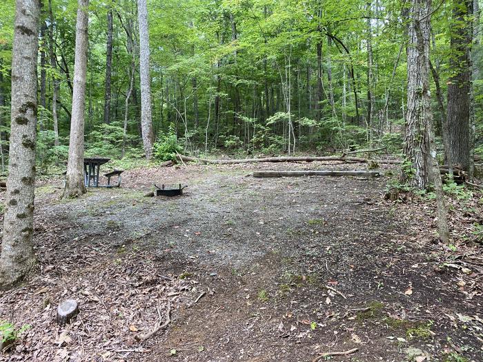 A photo of Site 53 of Loop A at Look Rock Campground with Picnic Table, Fire Pit, Tent Pad