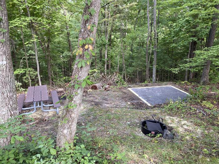 A photo of Site 13 of Loop A at Look Rock Campground with Picnic Table, Fire Pit, Tent Pad