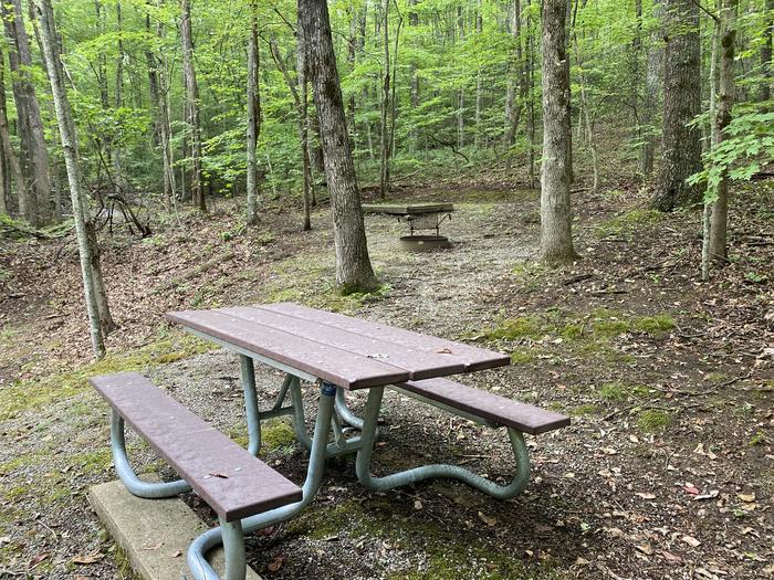 A photo of Site 47 of Loop A at Look Rock Campground with Picnic Table, Fire Pit, Tent Pad