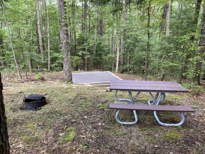 A photo of Site 9 at Look Rock Campground with Picnic Table, Fire Pit, Tent PadA photo of Site 9 of Loop A at Look Rock Campground with Picnic Table, Fire Pit, Tent Pad