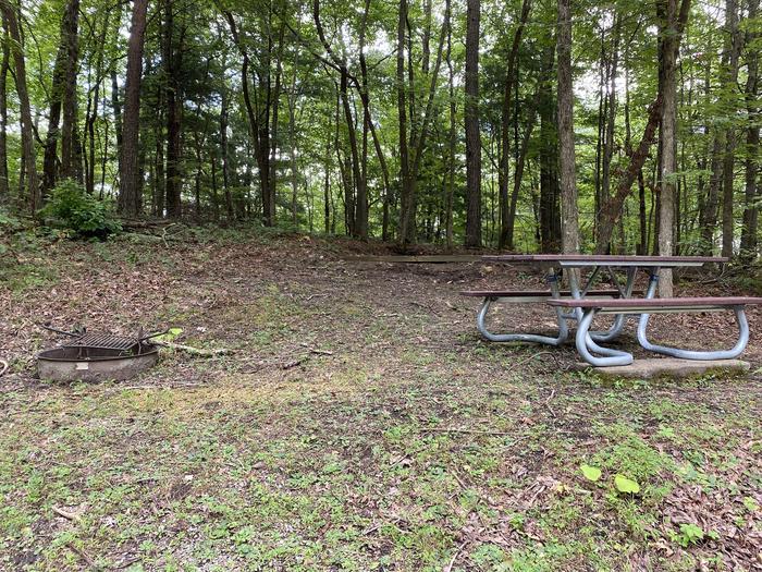 A photo of Site 29 of Loop A at Look Rock Campground with Picnic Table, Fire Pit, Tent Pad