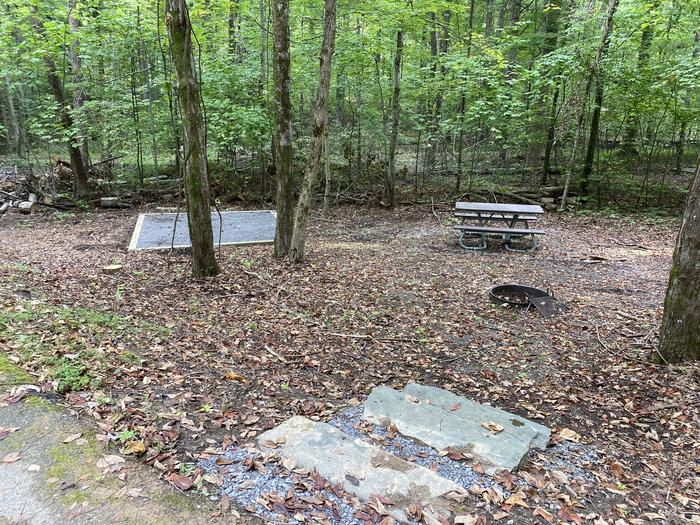 A photo of Site 52 of Loop A at Look Rock Campground with Picnic Table, Fire Pit, Tent Pad